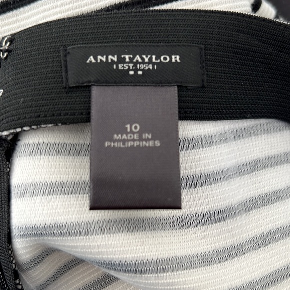 Ann Taylor skirt - Picture 4 of 5